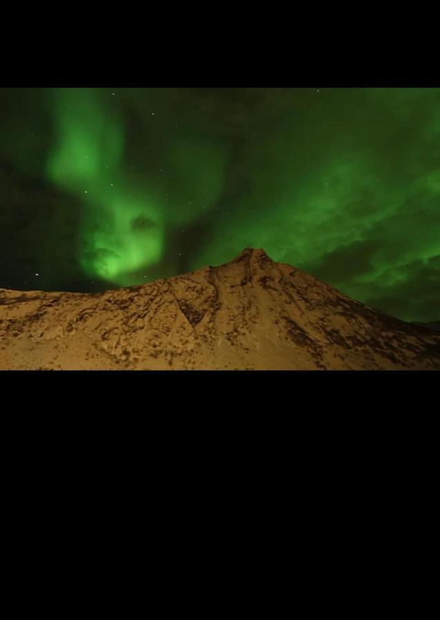 Senja Villa Gryllefjord Екстериор снимка